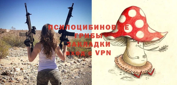 дурь Ветлуга