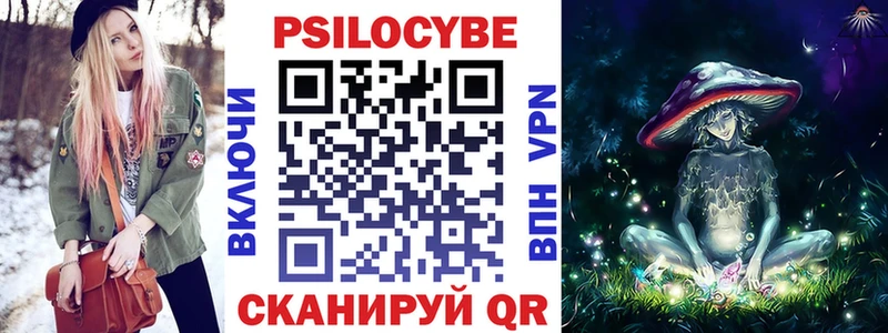 где найти   Карпинск  Псилоцибиновые грибы GOLDEN TEACHER 