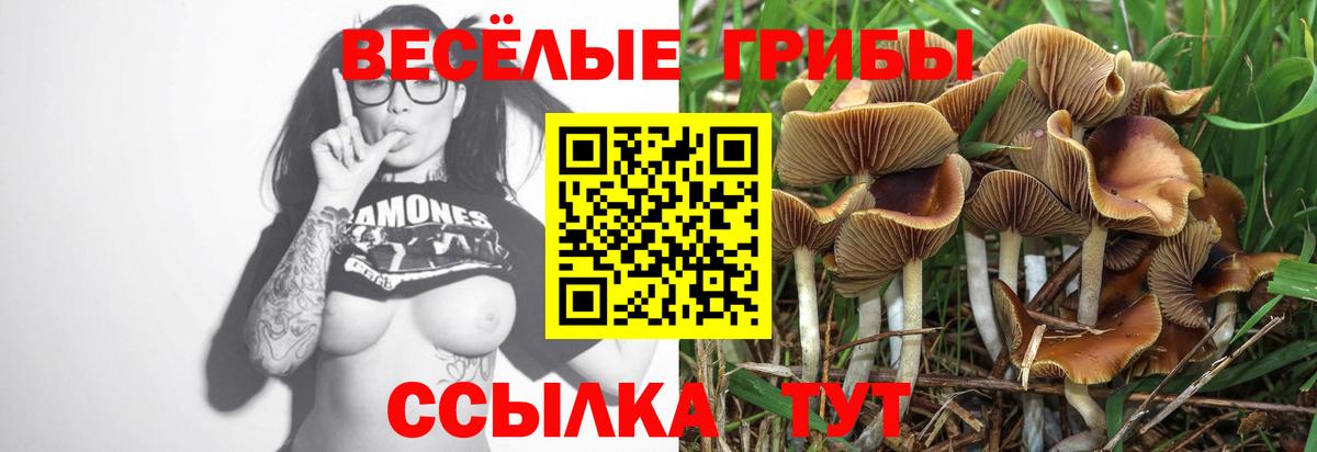 Псилоцибиновые грибы ЛСД Карпинск