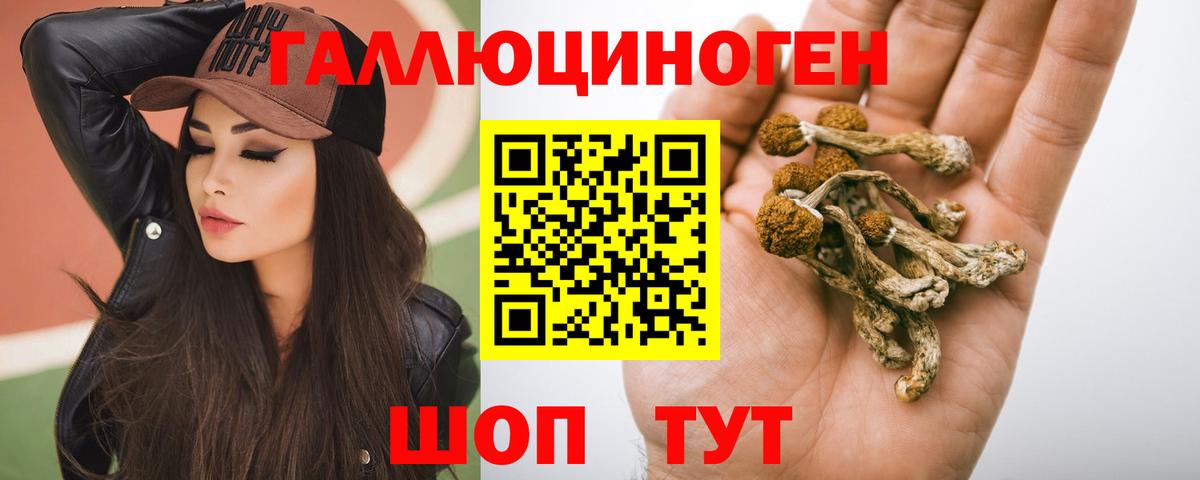 Карпинск  Псилоцибиновые грибы прущие грибы  сколько стоит  Вход с VPN 